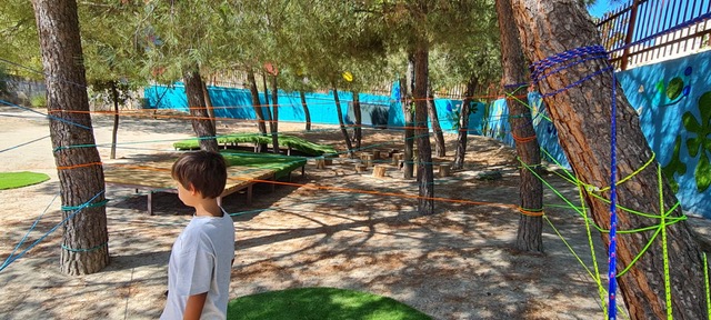 Lee más sobre el artículo Sauló en patio escolar