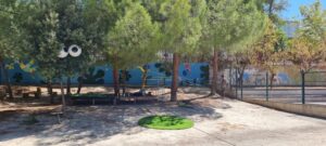 Lee más sobre el artículo La montaña encantada