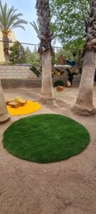 Lee más sobre el artículo Entre palmeras